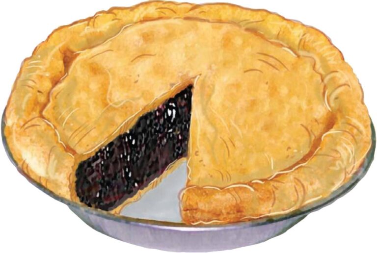 Pollys boysenberry 1 768x516