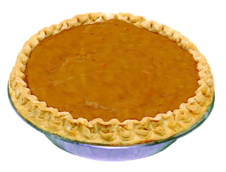 Pollys pumpkin 1 768x586