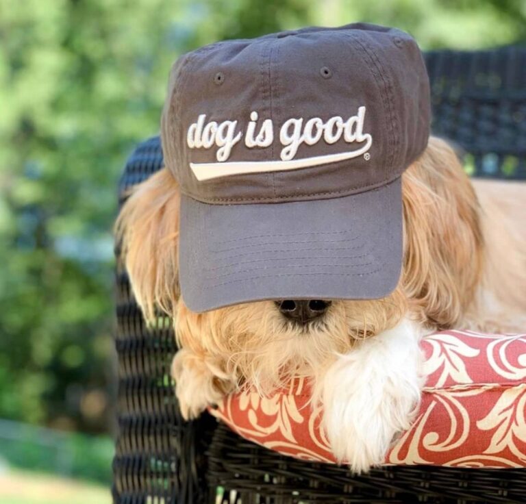 Dog Is Good hat 1 768x736